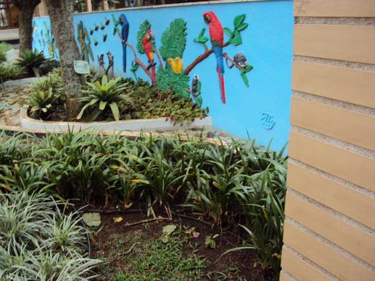 this colorful bird wall has birds painted on it