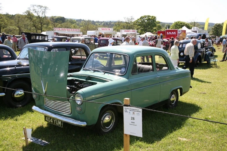 classic car show at the park with various cars