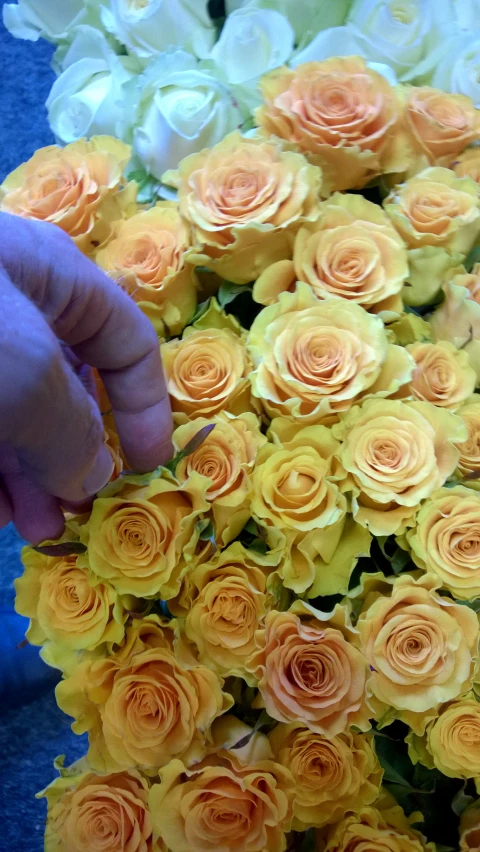 a person is trimming flowers with scissors