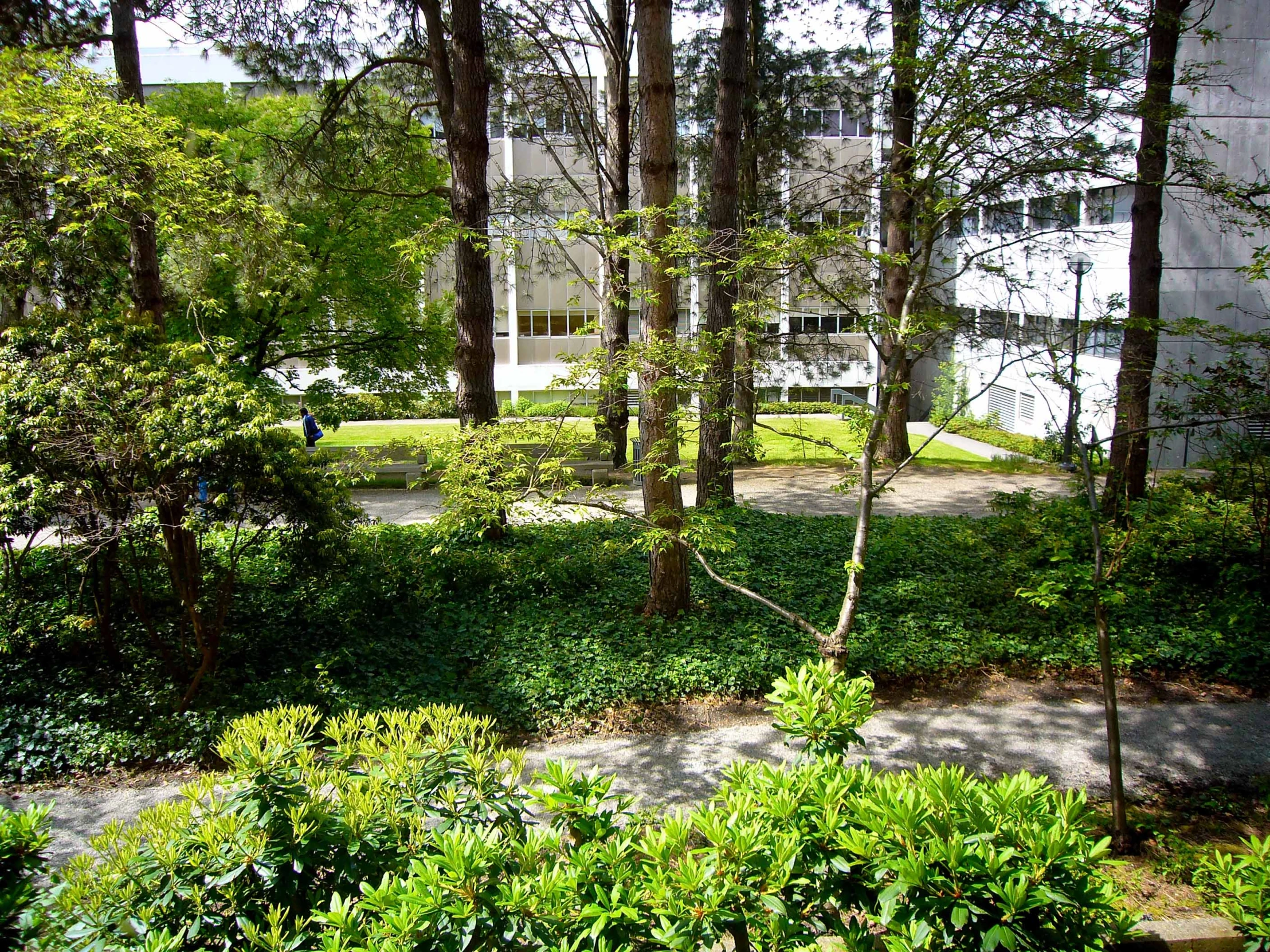 a building stands in the middle of an outdoor area