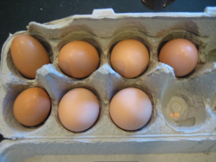 several brown eggs in an egg carton on the counter