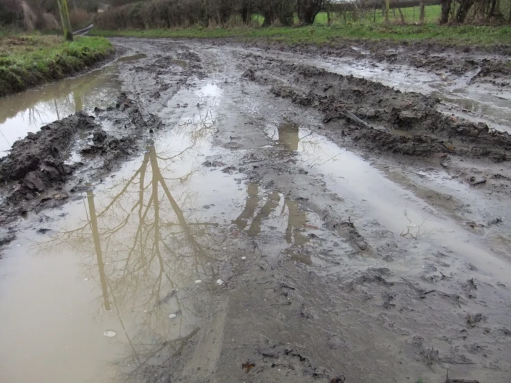 the wet muddy road is next to the green field