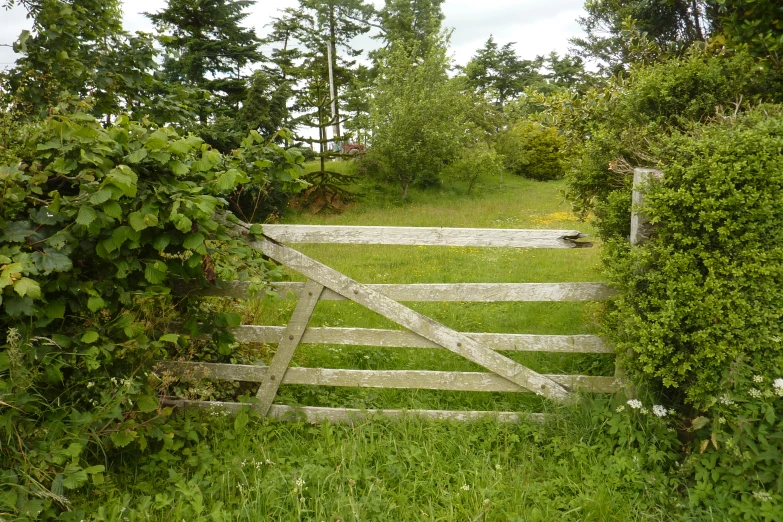 an open gate leads to lush green yard