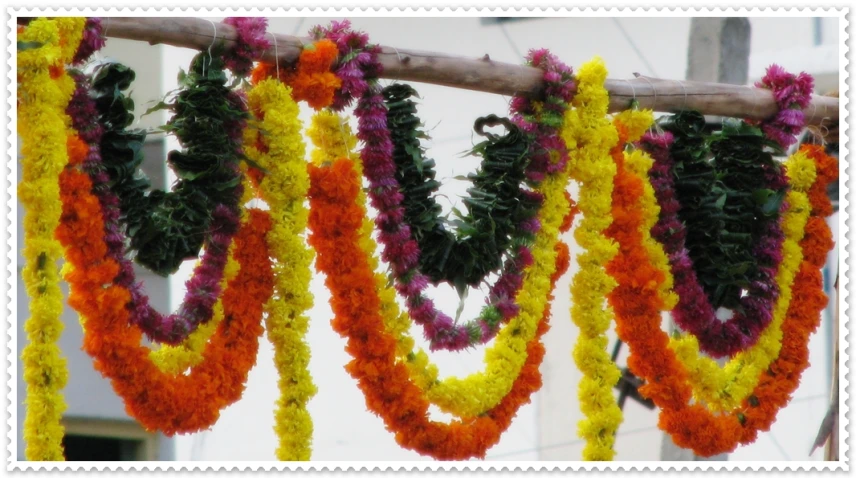 colorful garland on a nch hangs from a power line