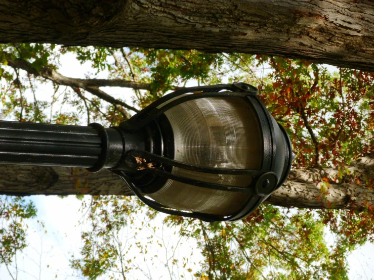 a lamp post with some green and red trees