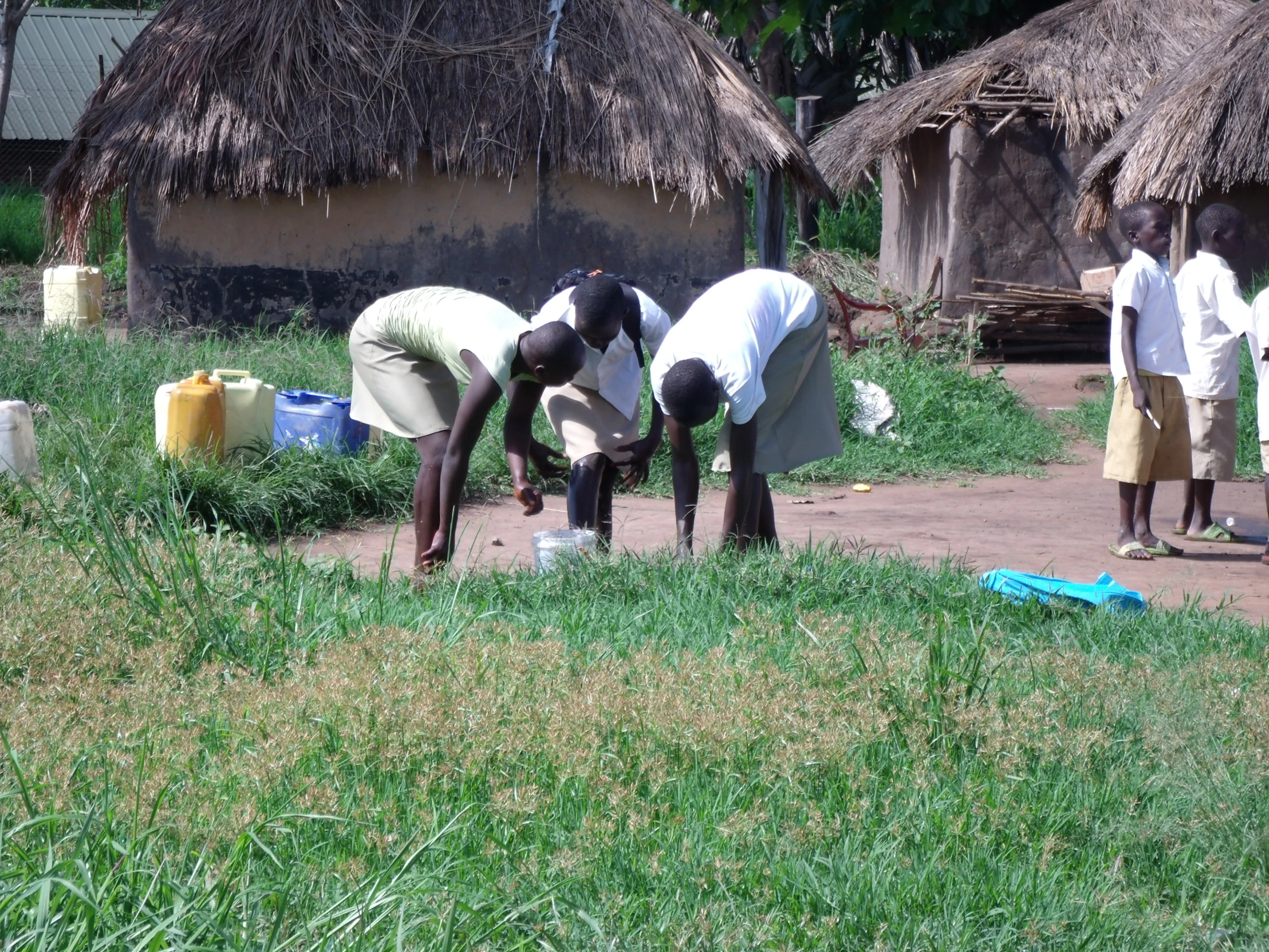 a group of people standing around a lush green field