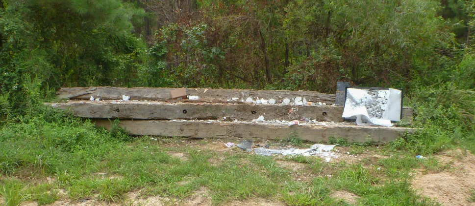 an image of old bench in the woods