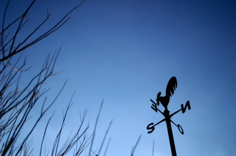 a weather vane with a blue sky background