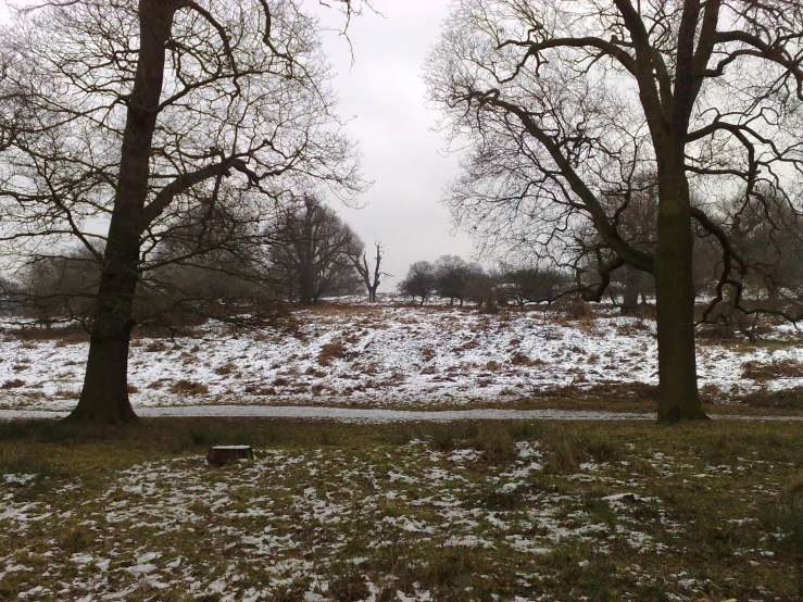 a snowy field with trees and benches on the ground