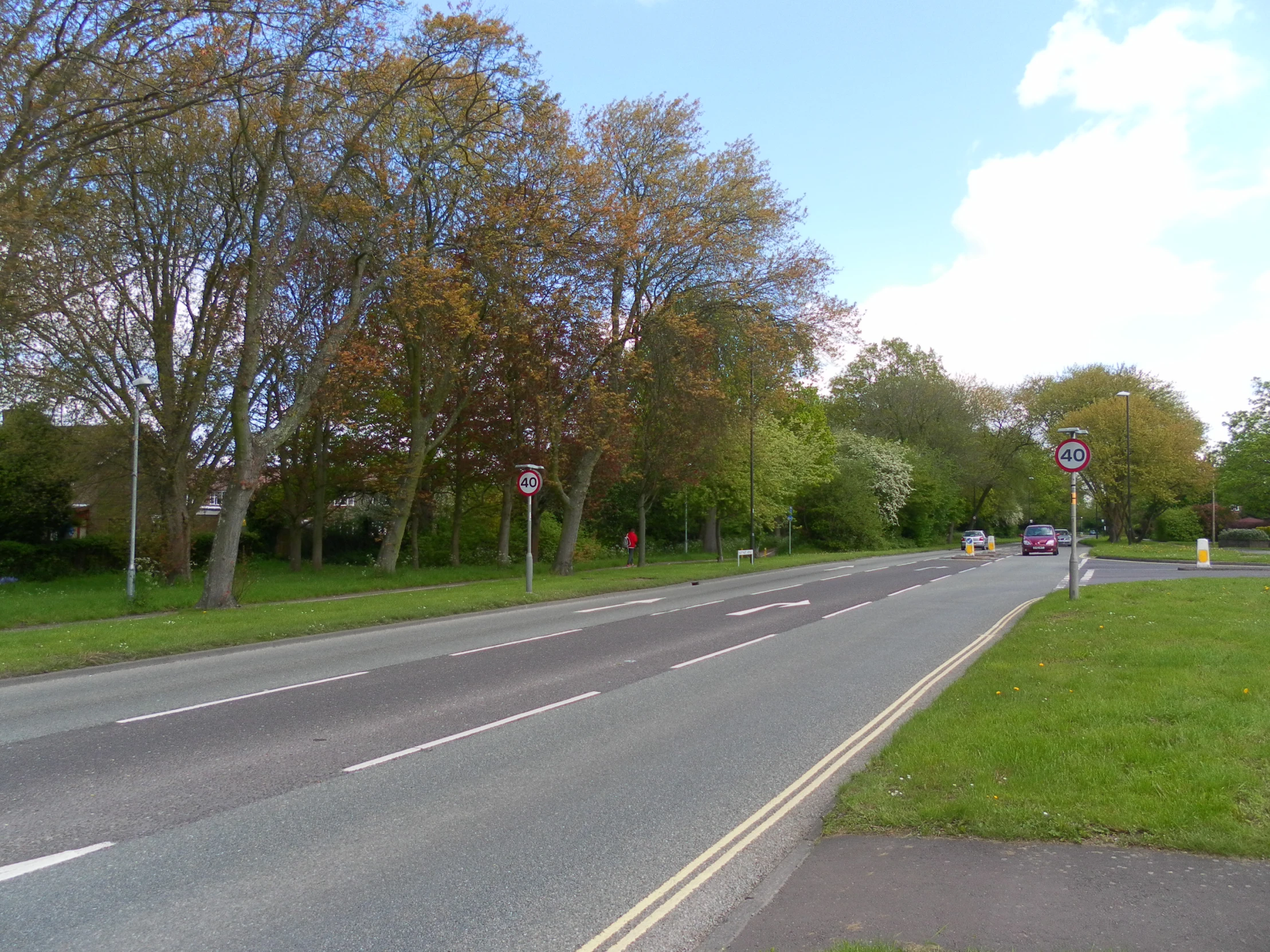 a street with a lot of trees and grassy area near it