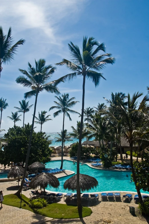 many palm trees are surrounding a large blue pool