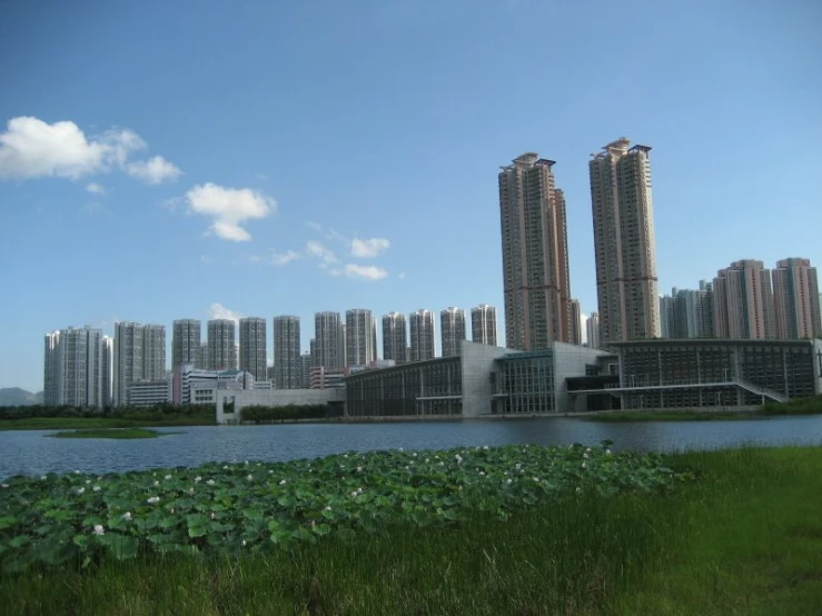 tall buildings stand near the edge of a pond