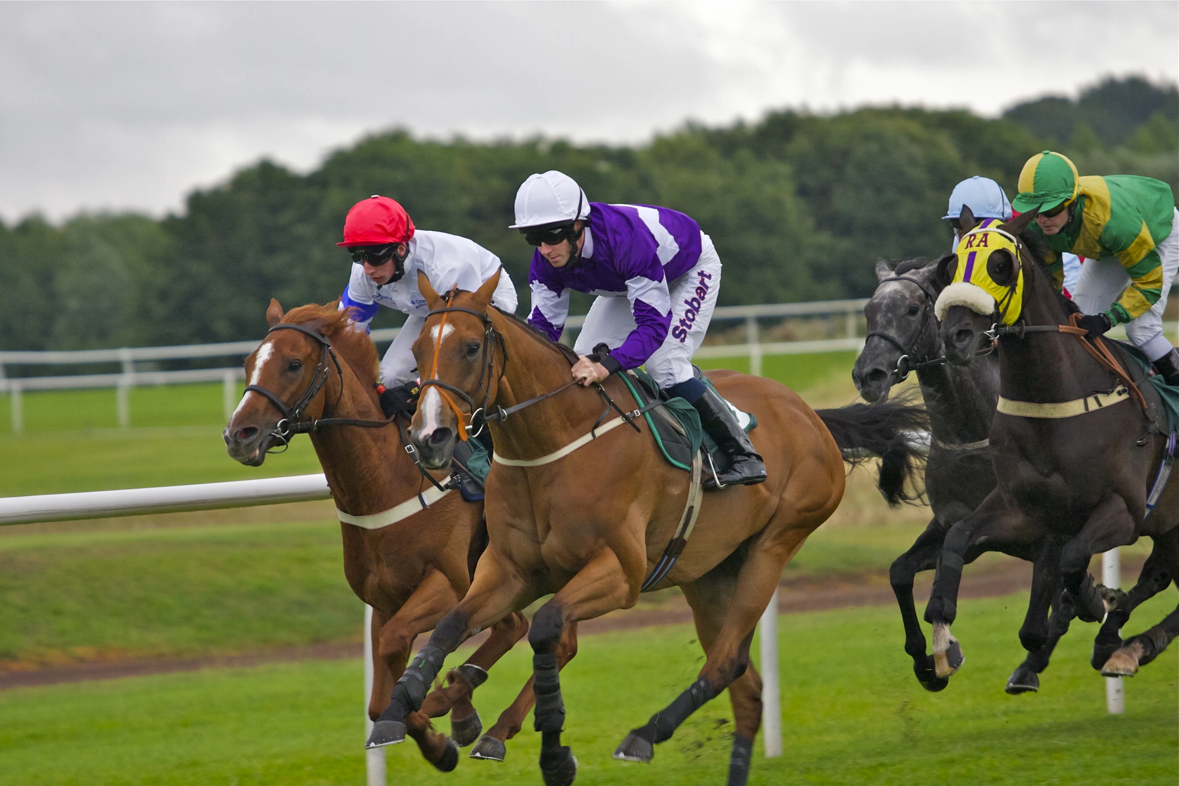 three jockeys race their horses over the finish line