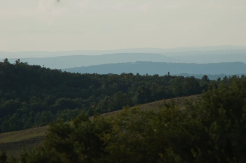 a field with trees and mountains on it