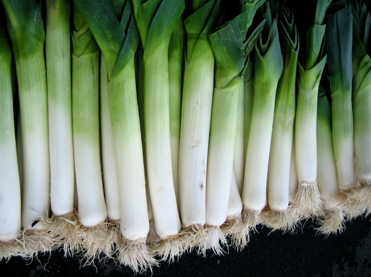 some unripe celery that have already wilted in a bunch