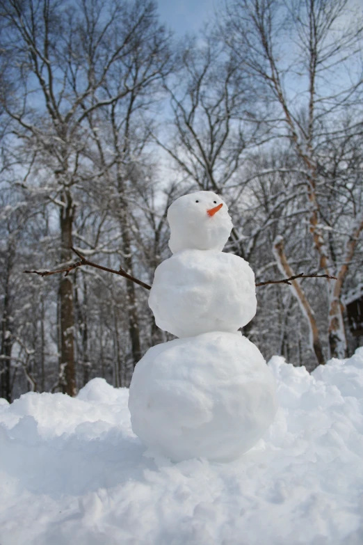 a snowman in the snow next to trees and a snow bank