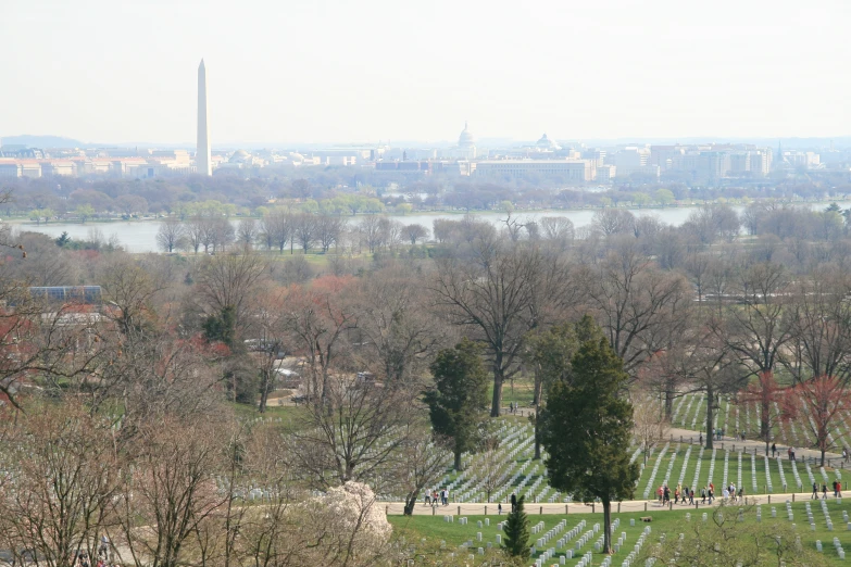 a view of trees, headstones, and a river