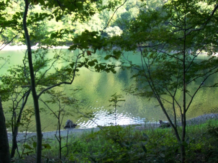 water is shown as far as the eye can see