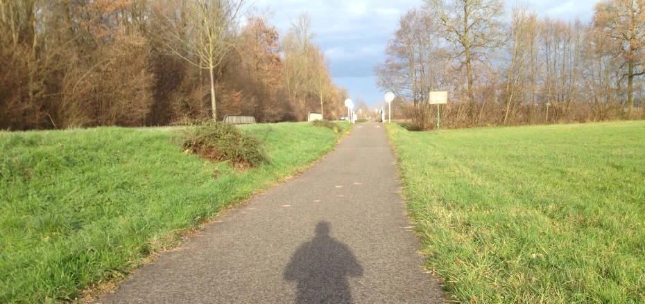 a shadow from someone's foot is cast on a paved pathway