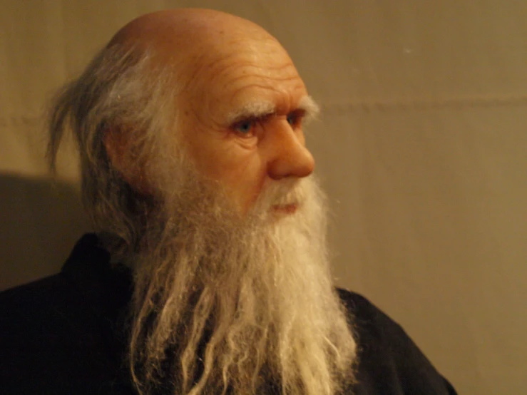 an old man with long white beard in front of a wall