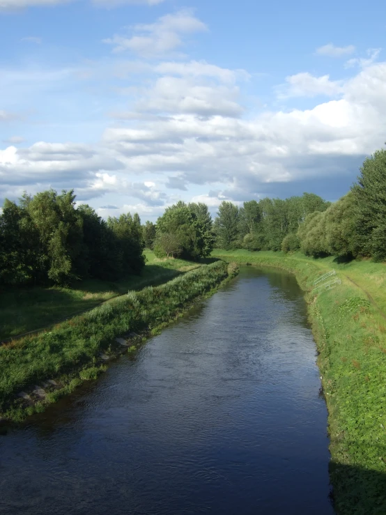 a river running through a lush green park