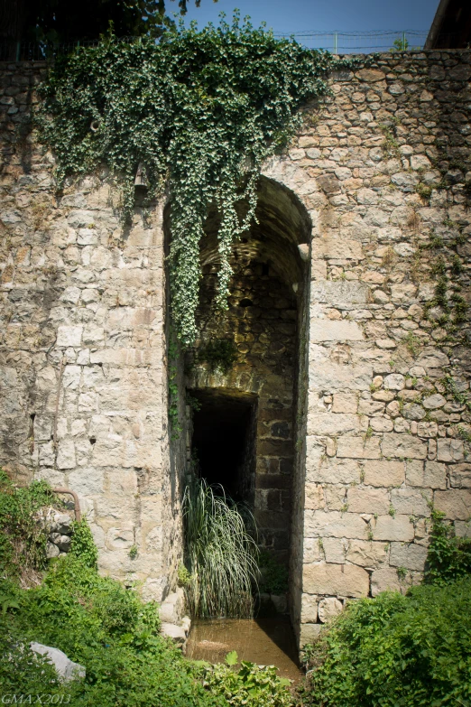 a stone structure with trees growing in it