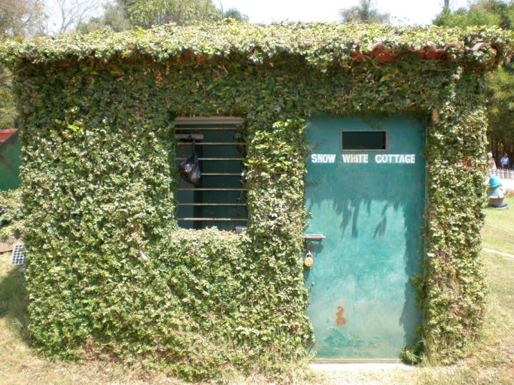 a green door sits between two windows covered in ivy