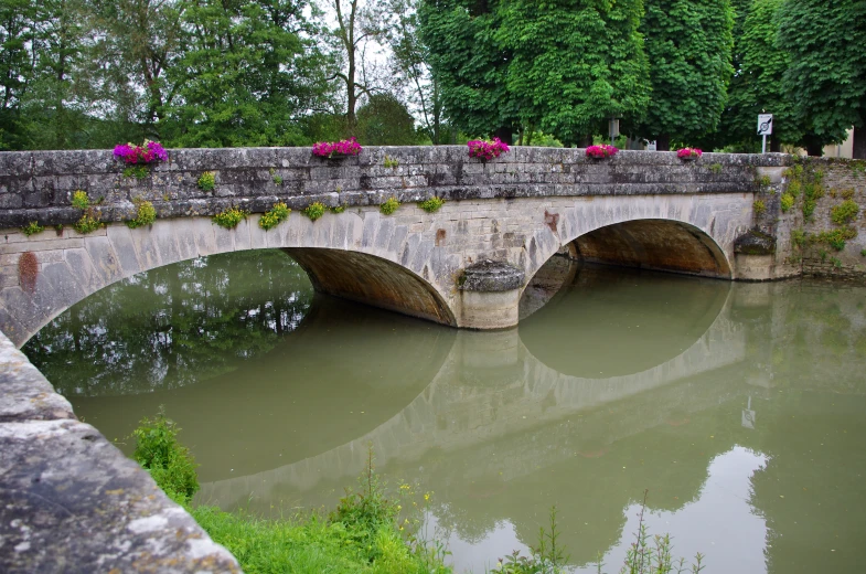 this is an image of a stone bridge