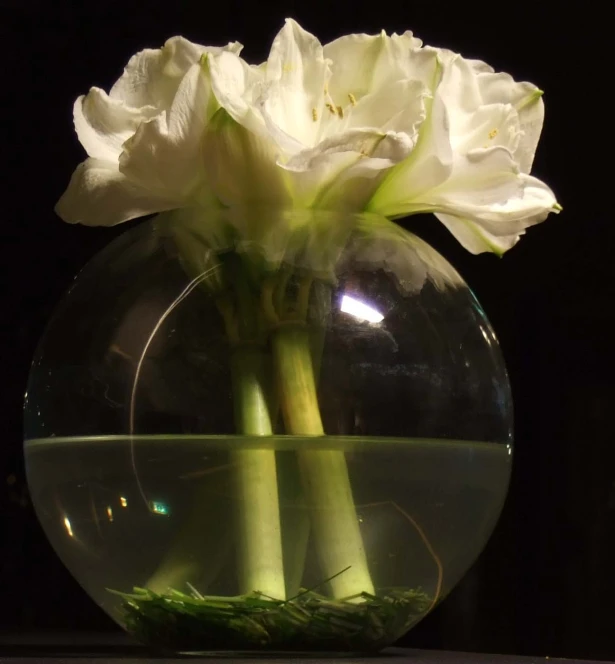 the flowers in the vase are white and light green