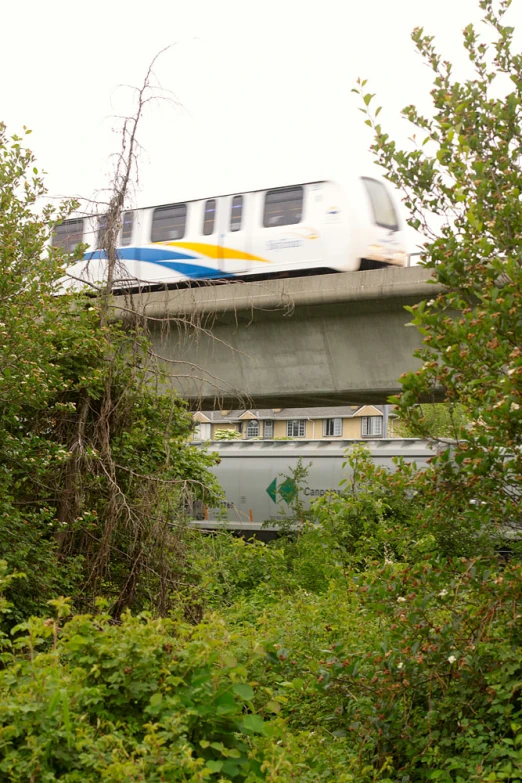 a train is seen passing under an overpass