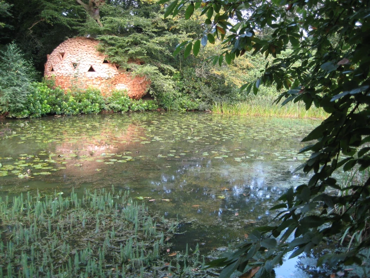 a river near some water with plants and plants growing