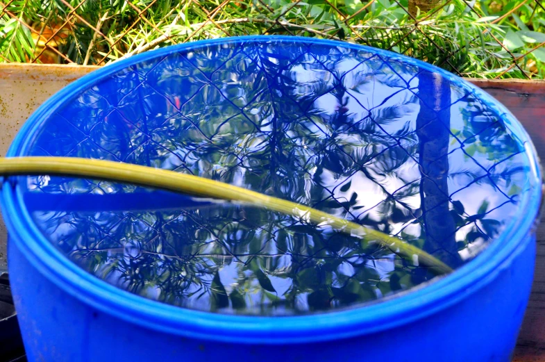 a blue pot holding water in it on the ground