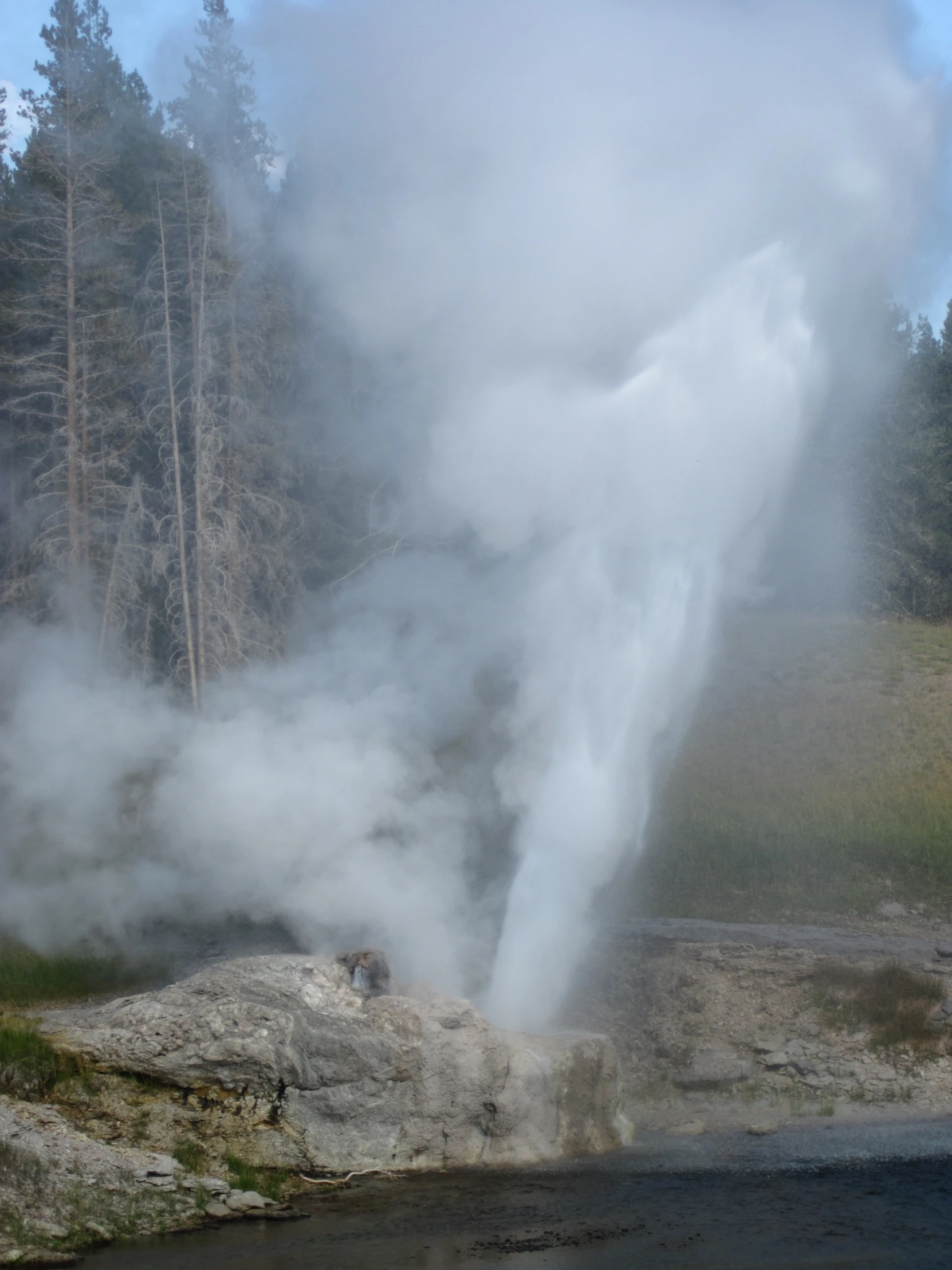 a plume of steam rising from a lake next to trees