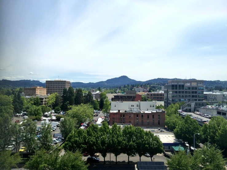 the city is full of trees, buildings and mountains