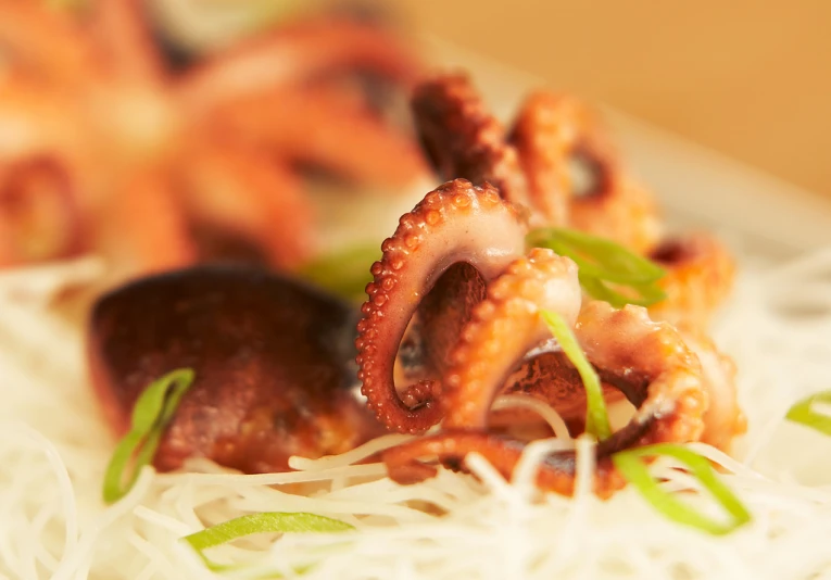 squid tentacles and noodles with herbs sprouting on a plate