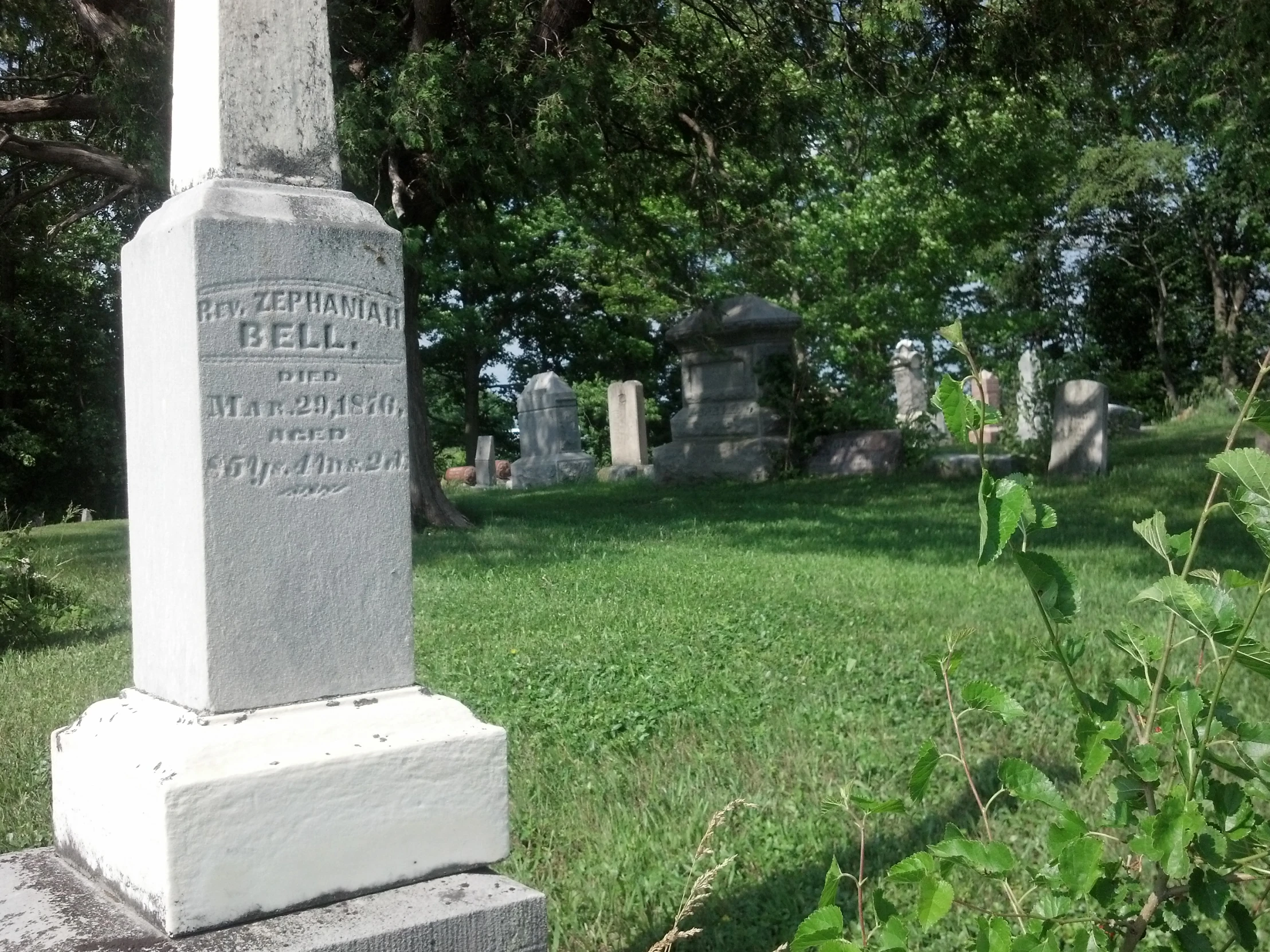 a grave sitting in a green grass field