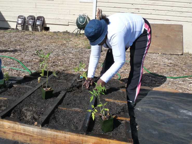 a person bending over plants that are in a pot