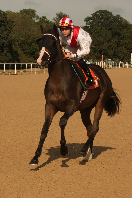 a person on a horse in the dirt