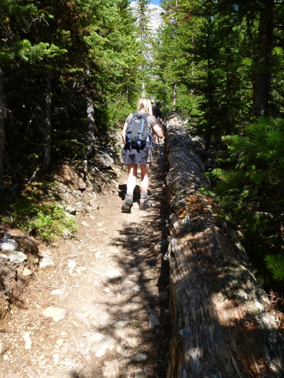 a person hiking down a trail through the woods