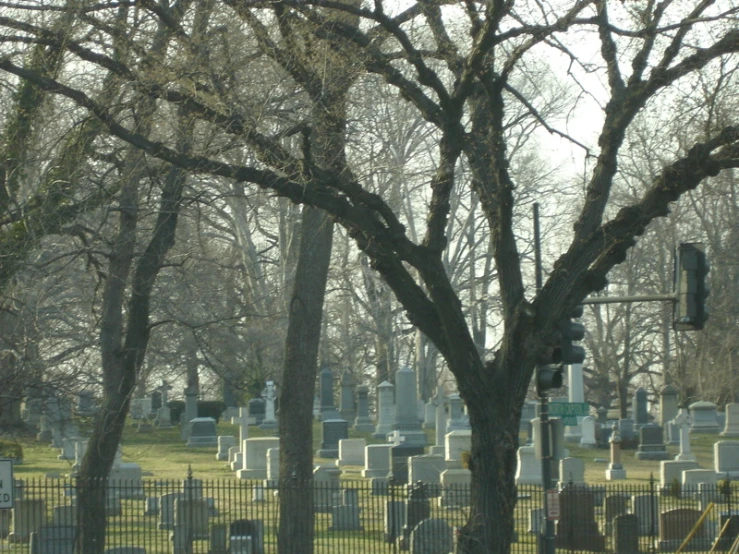 a cemetery with a green traffic light and trees