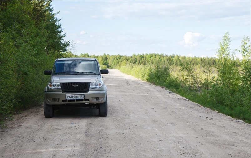 a truck is parked on a gravel road next to bushes