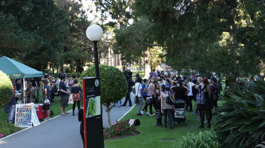 a large group of people walking around in the park