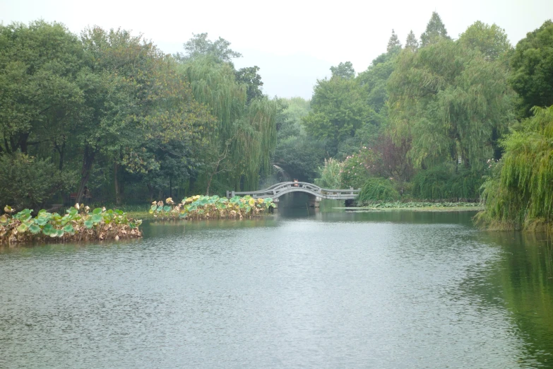 a small bridge spanning a waterway next to lush green trees