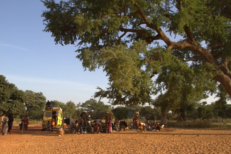 a large group of people standing under a shade tree