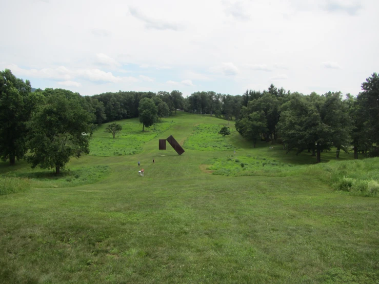 an aerial view of a grassy hillside that has a cow lying on it