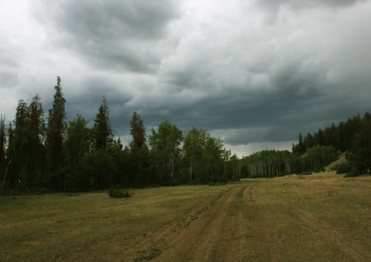 some very dark clouds over the forest