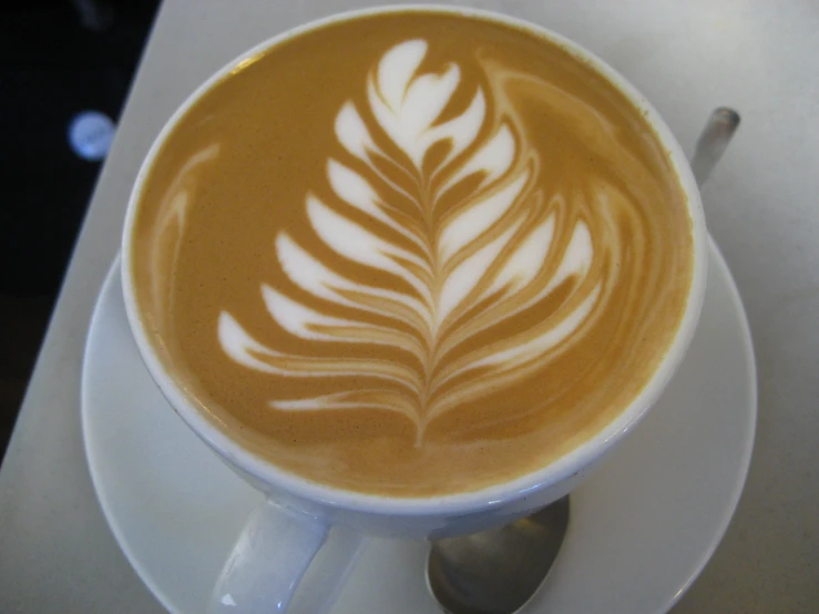 a coffee cup with a leaf in it sits on a saucer