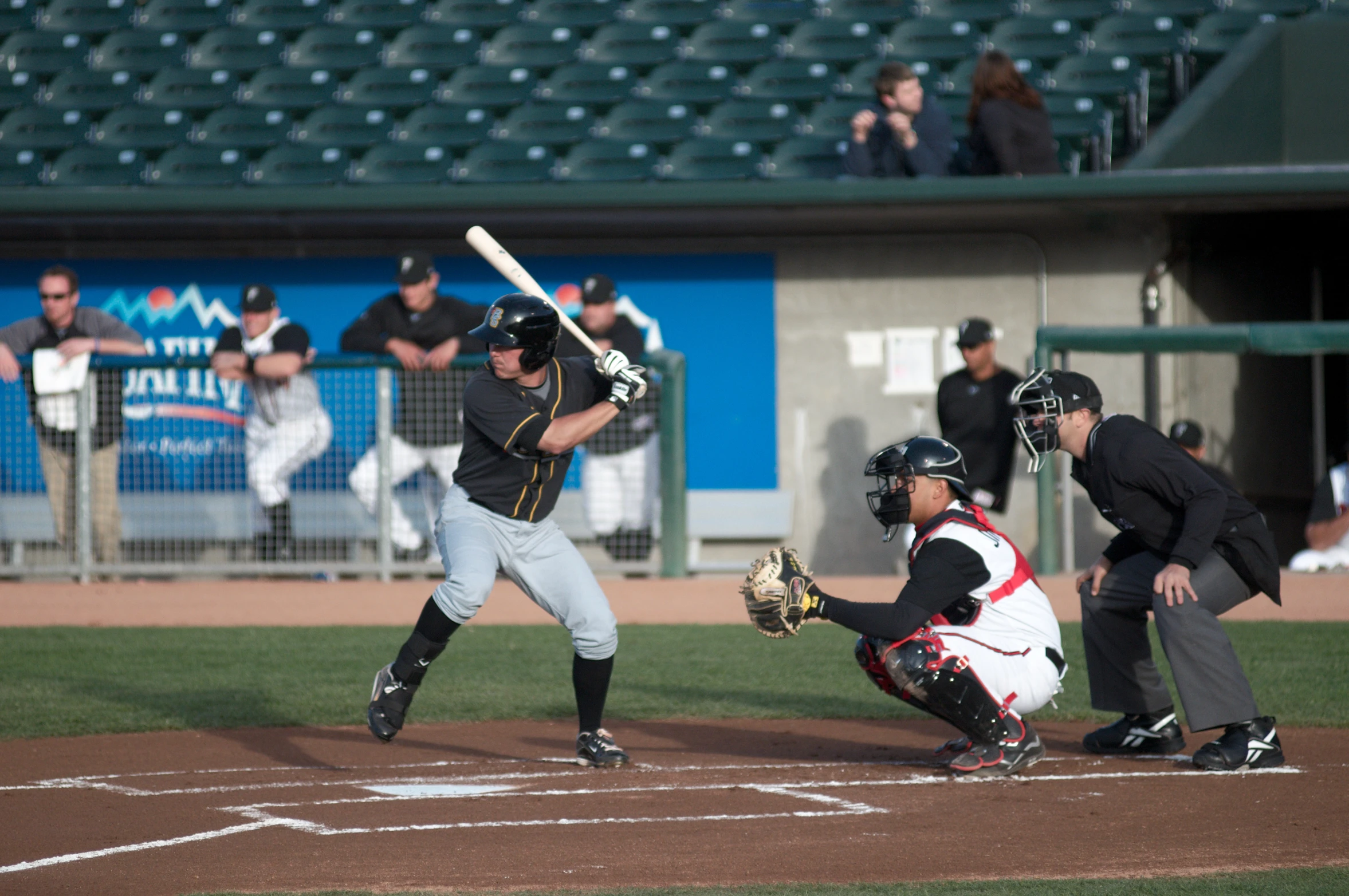 a baseball player holding a bat on a field