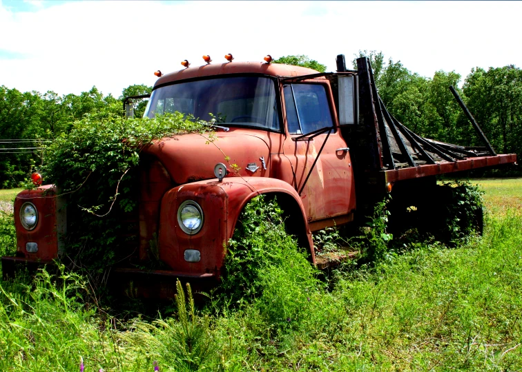 an old rusted truck is surrounded by greenery and trees