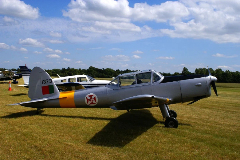 a gray airplane with a multi - color stripe is parked in the grass